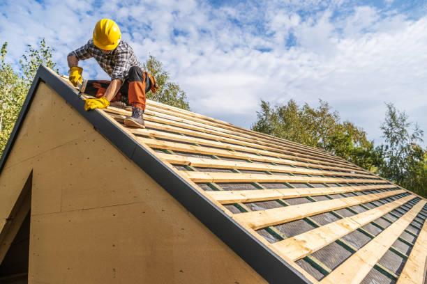 Roof Gutter Cleaning in Lake Mills, IA
